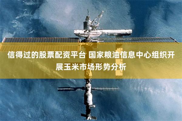 信得过的股票配资平台 国家粮油信息中心组织开展玉米市场形势分析