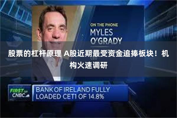 股票的杠杆原理 A股近期最受资金追捧板块！机构火速调研