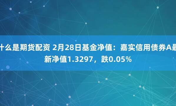 什么是期货配资 2月28日基金净值：嘉实信用债券A最新净值1.3297，跌0.05%