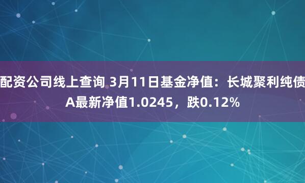 配资公司线上查询 3月11日基金净值：长城聚利纯债A最新净值1.0245，跌0.12%