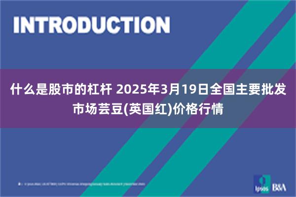 什么是股市的杠杆 2025年3月19日全国主要批发市场芸豆(英国红)价格行情