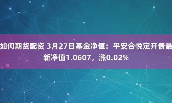 如何期货配资 3月27日基金净值：平安合悦定开债最新净值1.0607，涨0.02%