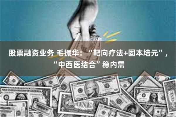 股票融资业务 毛振华：“靶向疗法+固本培元”，“中西医结合”稳内需
