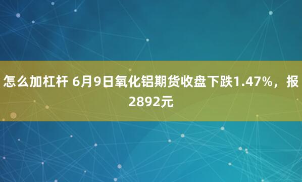 怎么加杠杆 6月9日氧化铝期货收盘下跌1.47%，报2892元