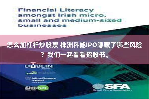怎么加杠杆炒股票 株洲科能IPO隐藏了哪些风险？我们一起看看招股书。